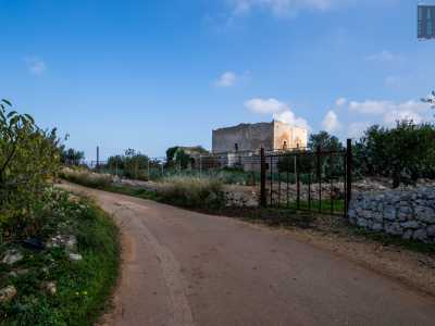 ...il viottolo conduce cos� alle spalle della masseria del Monsignore che svetta con la sua facciata in pietra